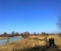 Zdjęcie z galerii